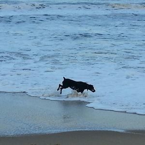 Meet your Posher, Diane